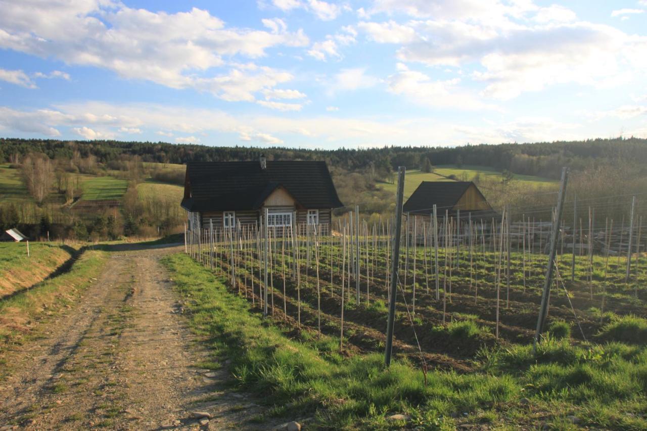 Utopia Dom Przy Winnicy Nowica Exterior photo