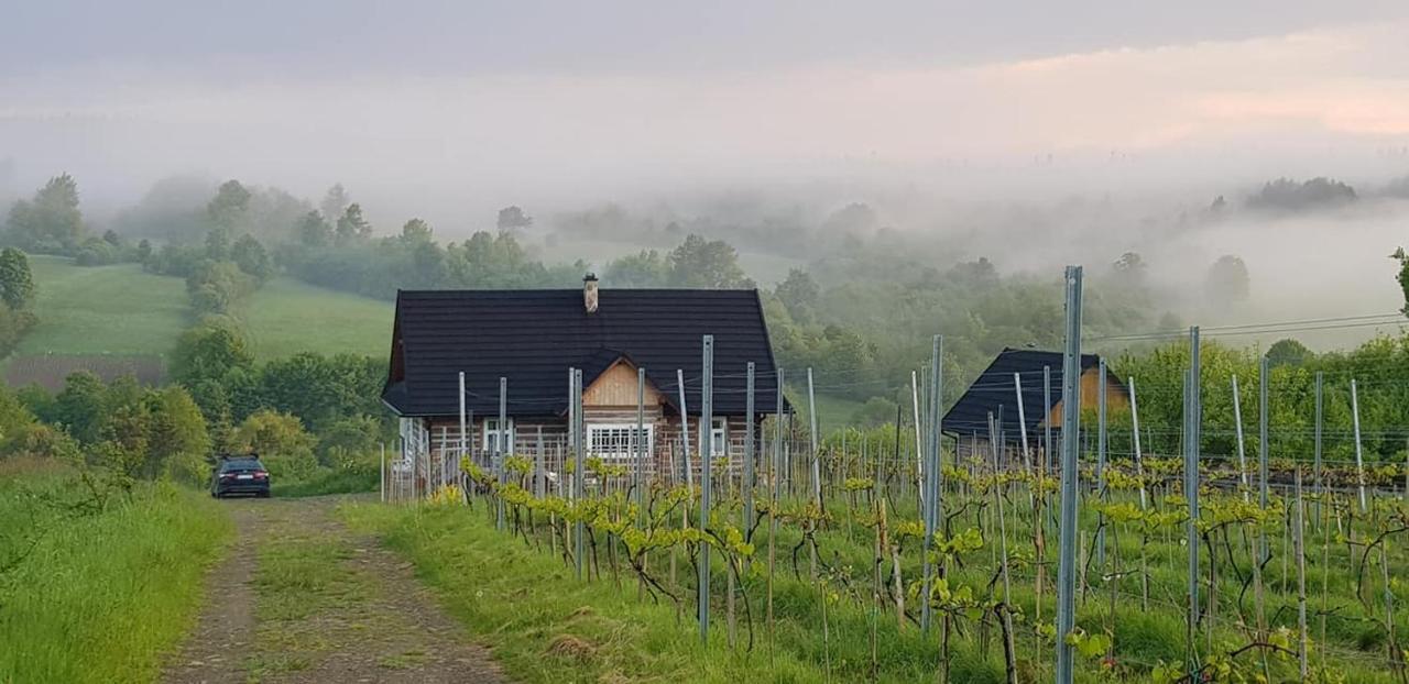 Utopia Dom Przy Winnicy Nowica Exterior photo